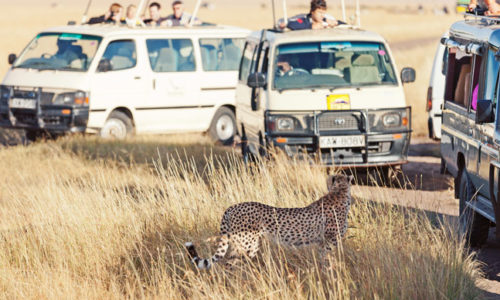 3 Days Masai Mara group joining safari