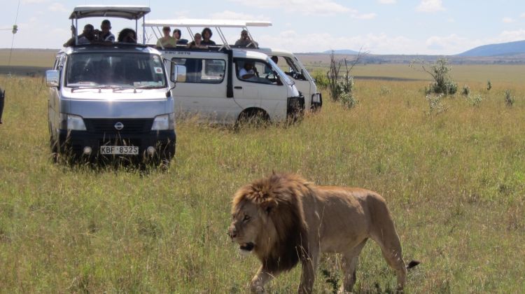 3 days 2 nights Masai mara safari Sarova Mara camp