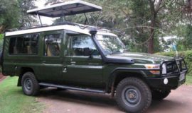 Safari Vehicle Hire