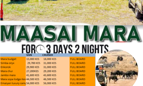 Masai Mara 3 Days Wildebeest Migration Packages