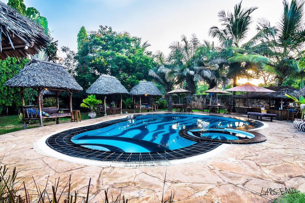 konjugat nominelt generøsitet Diani Backpackers south coast - Global Hotels & Safaris