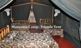masai mara manyatta camp215