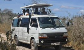 Safari Vehicle Hire