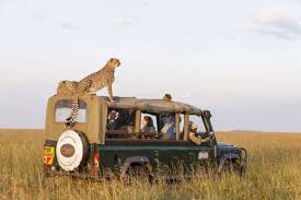 Budget Joining Safari masaimara