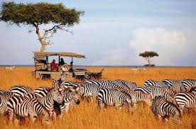 3days 2Nights Masai Mara joining safari
