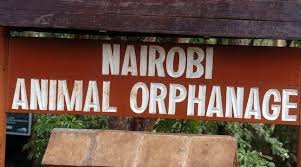 Nairobi city tour – Animal orphanage (4-6 hours ) Home Nairobi city tour – Animal orphanage (4-6 hours )
