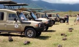 landcruiser Kenya Tanzania Safari