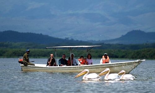 lake naivasha day tour