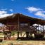 tortilis-camp-global hotels and safaris