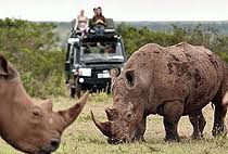 Ol Pejeta Conservancy 