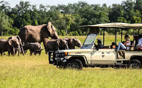 3 Days Masai Mara tours, 3 Days Package From Ksh.13,999/-Per Person Sharing For All 3 Days