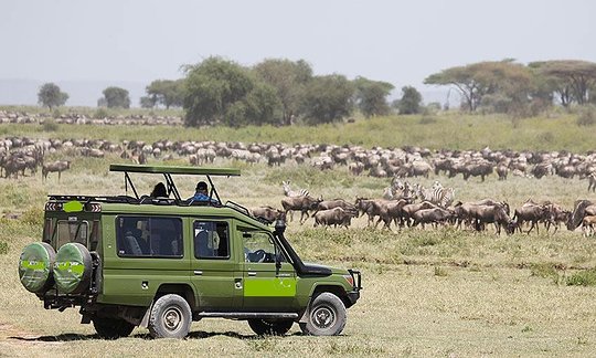 Best Of Kenya and Tanzania Safari