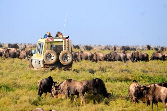 Best Of Kenya and Tanzania Safari
