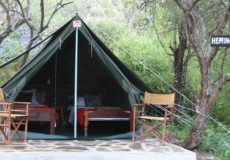 maasai-simba-camp
