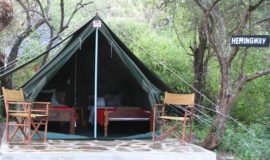 maasai-simba-camp