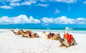 5 days Coast packages 2019 WITH SGR-Diani Home 5 days Coast packages 2019 WITH SGR-Diani