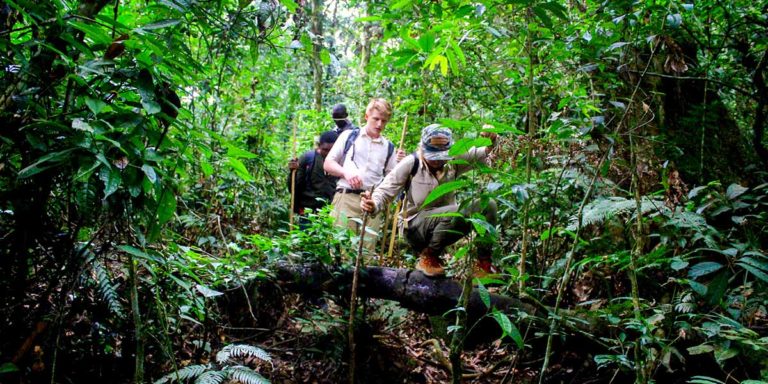 African safari tours holiday - Global Hotels & Safaris