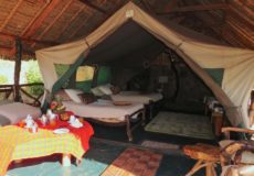Sabache Camp Deluxe Tent