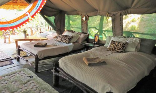 Sabache Camp samburu