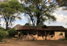 Samburu Riverside Camp tent