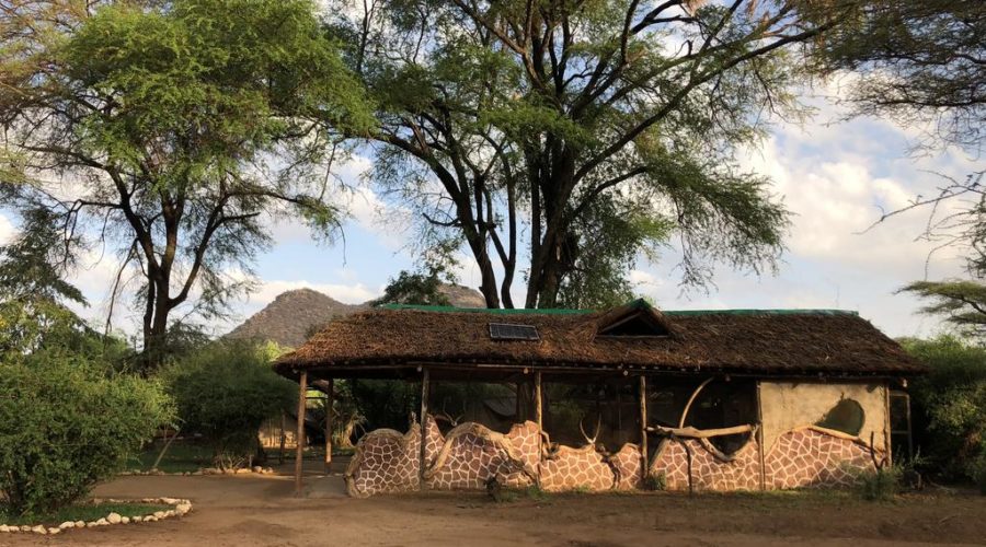 Samburu Riverside Camp tent