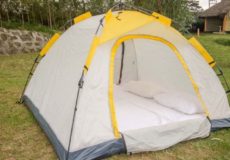 Dove nest Lodge Tent