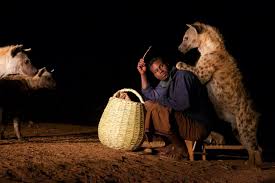 Feeding Hyenas in Africa: Harar, Ethiopia