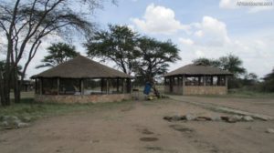 3days Serengeti Ngorongoro campingsafari