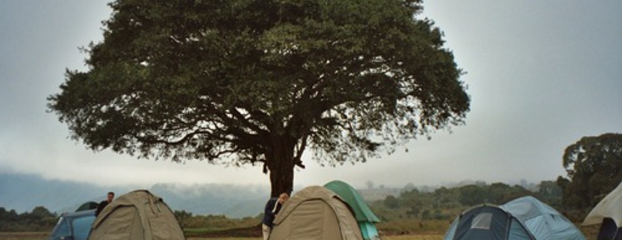 3days Serengeti Ngorongoro campingsafari
