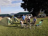 simba ngorongoro