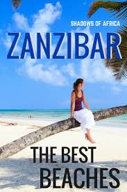 Safari  Zanzibar Tours