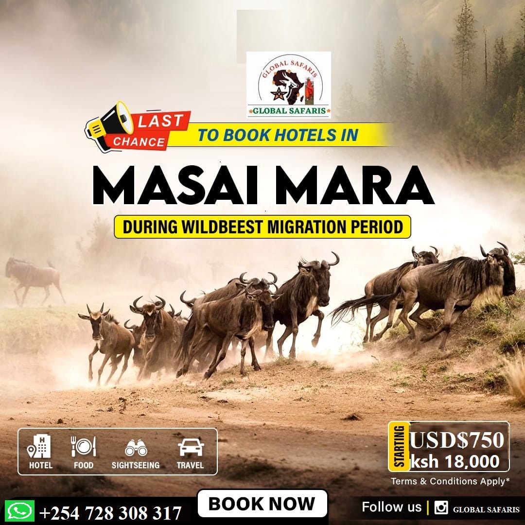 4 days Kenya masai mara safaris