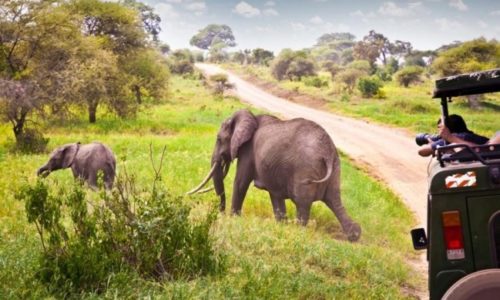 3 days masai mara safari offers
