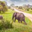 3 days masai mara safari offers
