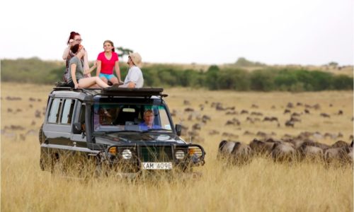 MASAI MARA group joining safari