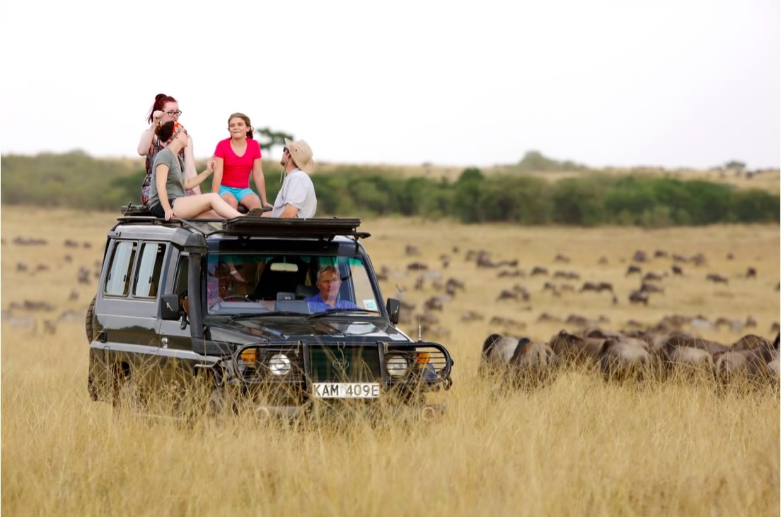 Kenya Safaris Amboseli 