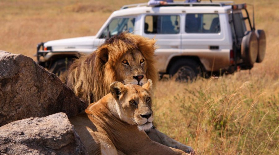 6-Day Safari in Northern Tanzania