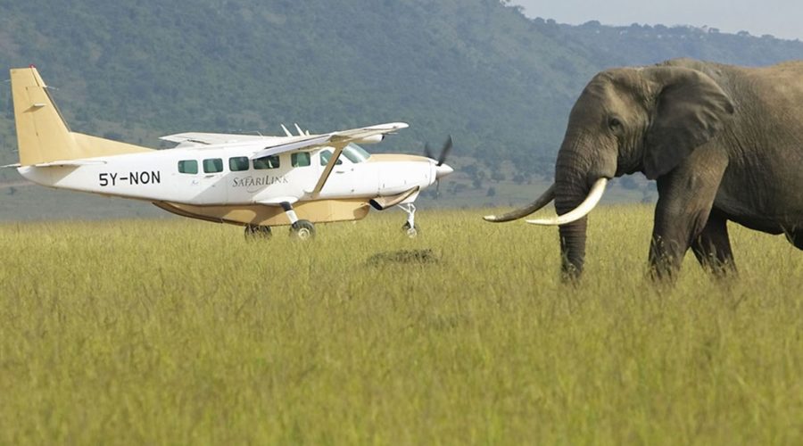 3 days 2 nights masai mara flying packages