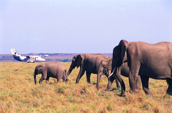 7day Samburu Ol Pejeta Lake Naivasha and Masai Mara safari