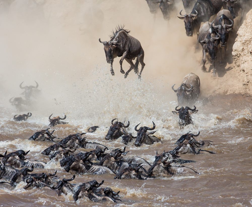 Masai Mara flying safaris
