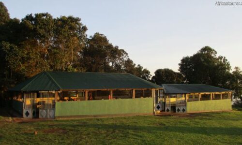 Ngorongoro SIMBA LODGE