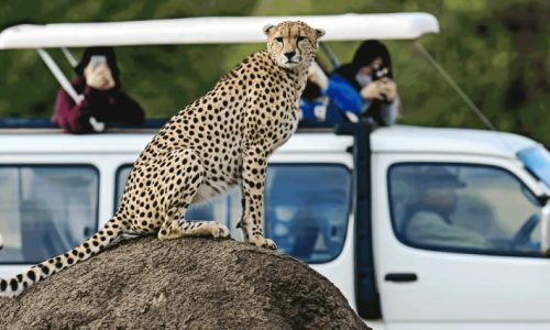 3-days-masai-mara-camping-safari-daily-departures