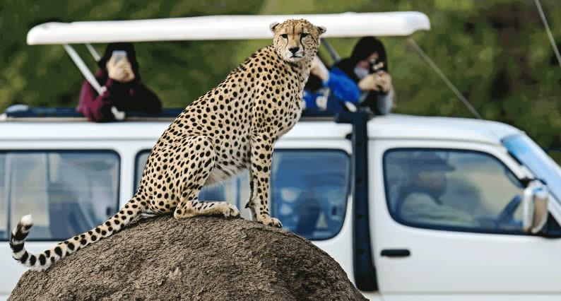 3-days-masai-mara-camping-safari-daily-departures