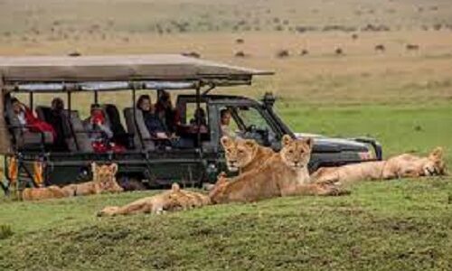Masai Mara 3 Days Wildebeest Migration Safari – Book Now