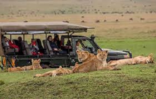 kenya-safaris/nairobi/day-tour-excursions/nairobi-national-park-tour
