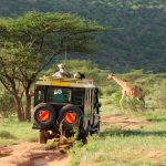 Ngorongoro Crater Safari Tours & Holidays