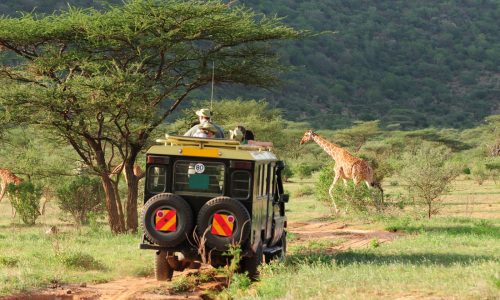 3-Day  Budget Safari to Tanzania