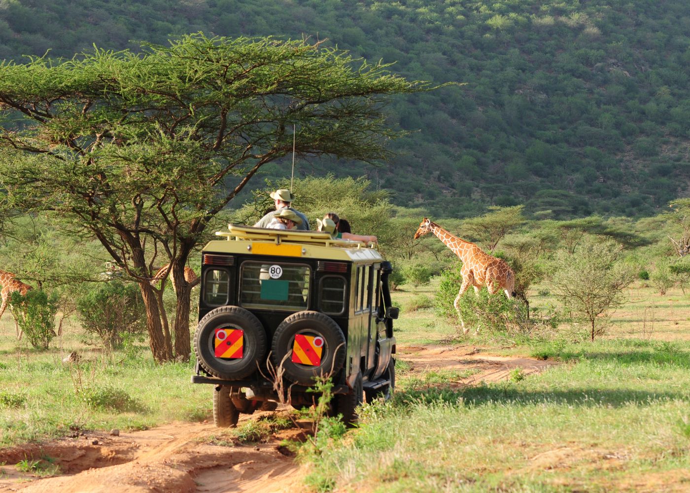 3-Day  Budget Safari to Tanzania