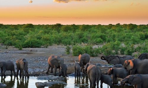 3 Days Masai Mara Safari from Nairobi | Big Five Kenya Tour