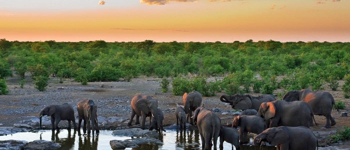 3 Days Masai Mara Safari from Nairobi | Big Five Kenya Tour